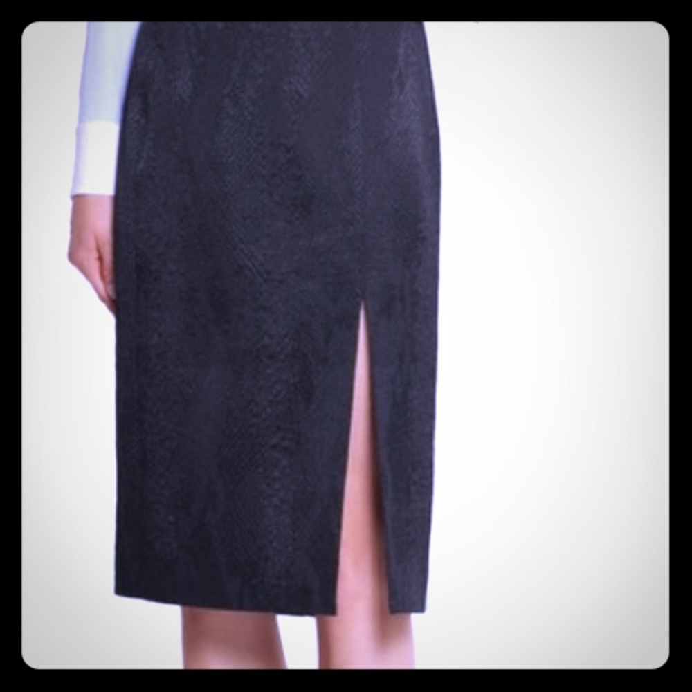 Altuzarra for Target Python Print Skirt